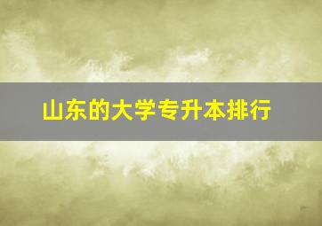 山东的大学专升本排行