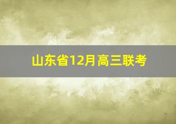 山东省12月高三联考