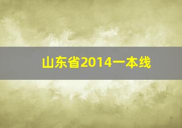 山东省2014一本线