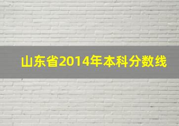 山东省2014年本科分数线