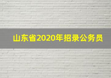 山东省2020年招录公务员