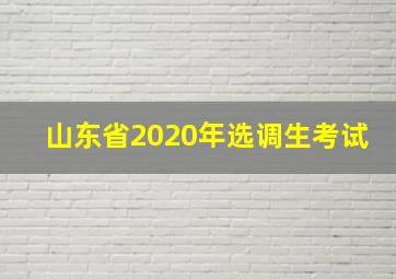 山东省2020年选调生考试