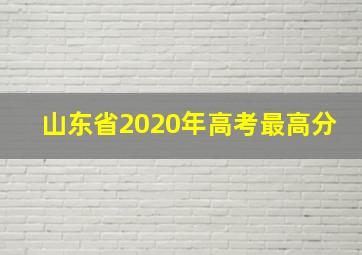 山东省2020年高考最高分