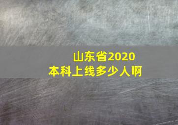 山东省2020本科上线多少人啊