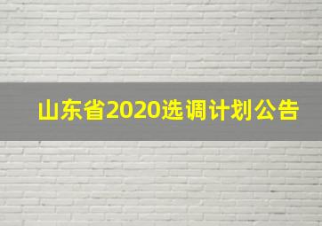 山东省2020选调计划公告