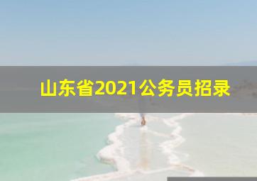 山东省2021公务员招录