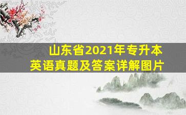 山东省2021年专升本英语真题及答案详解图片