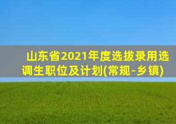 山东省2021年度选拔录用选调生职位及计划(常规-乡镇)