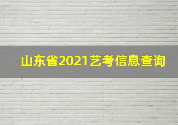 山东省2021艺考信息查询