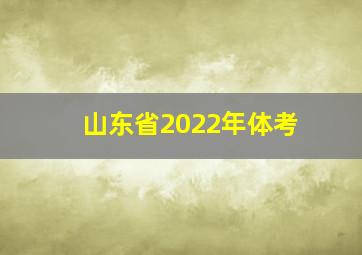 山东省2022年体考