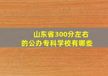 山东省300分左右的公办专科学校有哪些