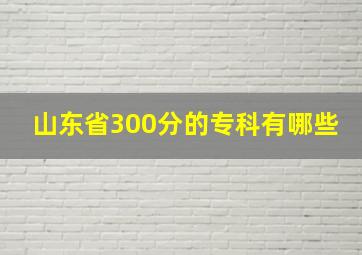 山东省300分的专科有哪些