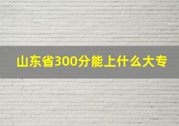 山东省300分能上什么大专