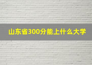 山东省300分能上什么大学