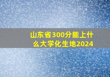 山东省300分能上什么大学化生地2024