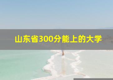 山东省300分能上的大学