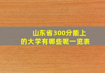 山东省300分能上的大学有哪些呢一览表