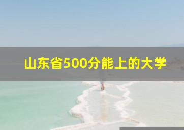 山东省500分能上的大学