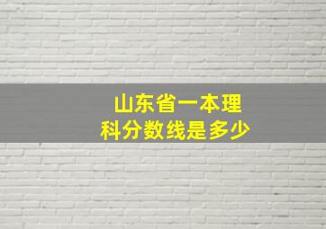 山东省一本理科分数线是多少