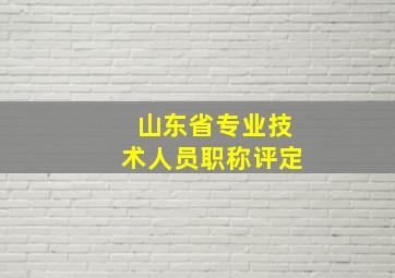 山东省专业技术人员职称评定