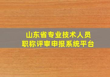 山东省专业技术人员职称评审申报系统平台