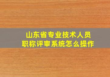 山东省专业技术人员职称评审系统怎么操作