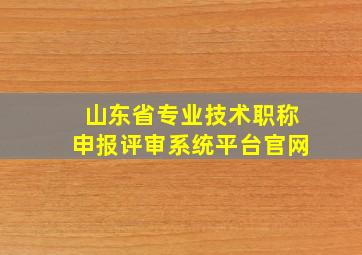 山东省专业技术职称申报评审系统平台官网