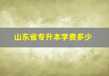 山东省专升本学费多少