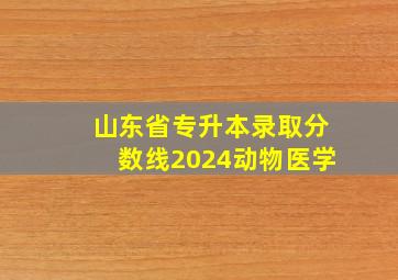 山东省专升本录取分数线2024动物医学