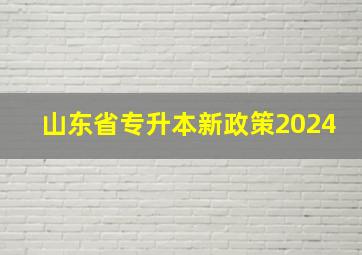 山东省专升本新政策2024