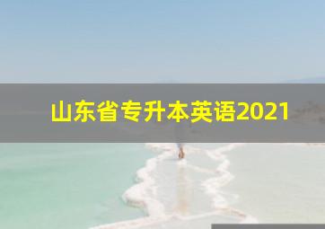 山东省专升本英语2021