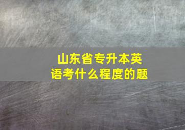 山东省专升本英语考什么程度的题