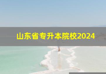 山东省专升本院校2024