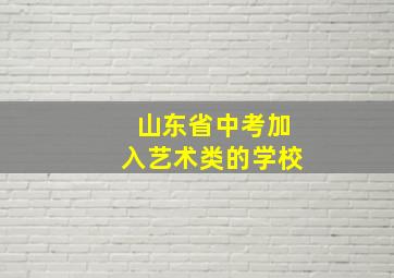 山东省中考加入艺术类的学校