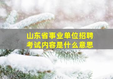 山东省事业单位招聘考试内容是什么意思