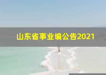 山东省事业编公告2021