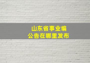 山东省事业编公告在哪里发布