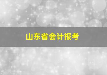 山东省会计报考