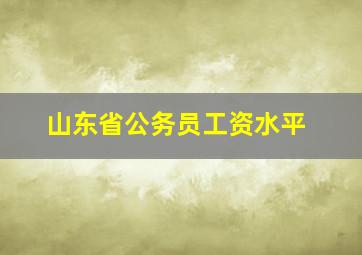 山东省公务员工资水平