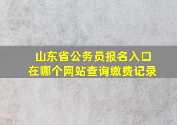 山东省公务员报名入口在哪个网站查询缴费记录