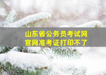 山东省公务员考试网官网准考证打印不了