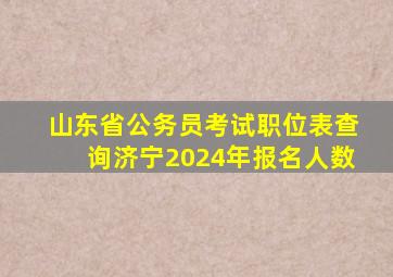 山东省公务员考试职位表查询济宁2024年报名人数