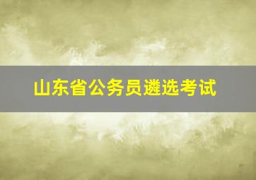 山东省公务员遴选考试