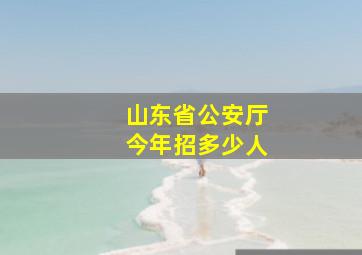 山东省公安厅今年招多少人