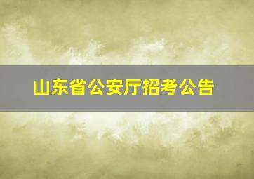 山东省公安厅招考公告