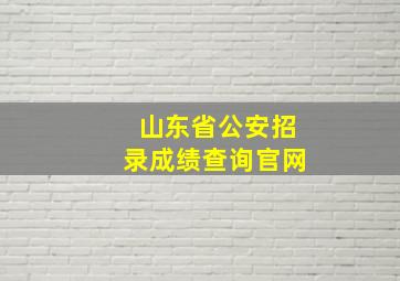 山东省公安招录成绩查询官网