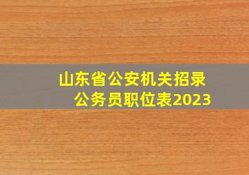 山东省公安机关招录公务员职位表2023