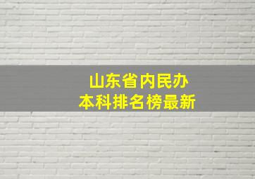 山东省内民办本科排名榜最新