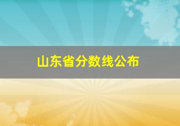 山东省分数线公布