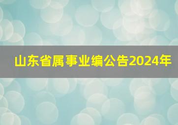 山东省属事业编公告2024年